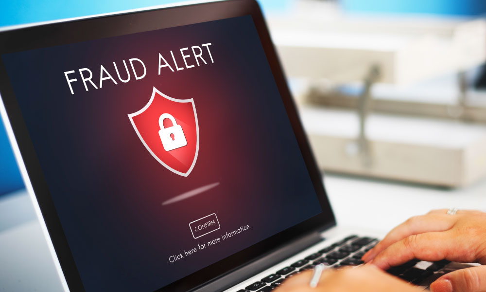 Online-fraud-risks-domain-security